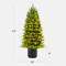 Best Choice Products Pre-Lit Potted Flocked Christmas Tree, Realistic Artificial Décor, w/ Twinkling White & Multi LEDs
